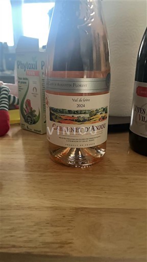 Vale do Loire Cabernet-d'Anjou Les Aubrières Fleuries 2024