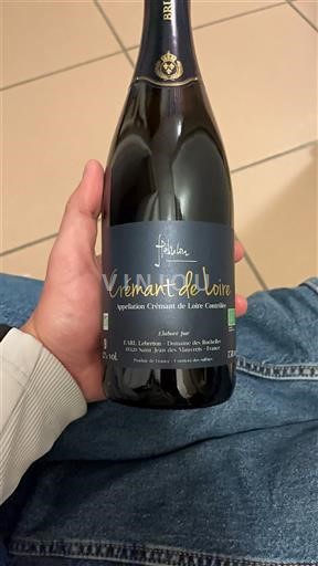 Dolina Loare Crémant de Loire Domaine Des Rochelles Le Breton Neleten.