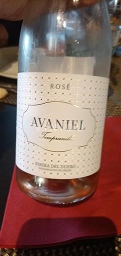 Castela e Leão Ribera del Duero Avaniel Tempranillo Não Sazonado