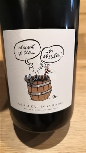 Dolina Loare Domaine Montdomaine Grolleau d'Amboise 2023