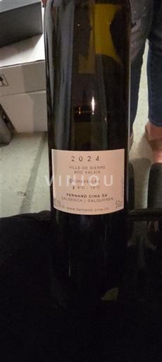 Valais Fernando Lira SA 2024