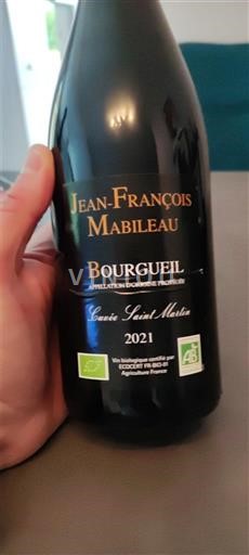Valle del Loira Bourgueil Jean-François Mabileau Saint Martin 2021