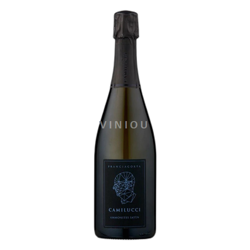 Lombardie Franciacorta Camilucci Ammonites Satèn Brut Neročník