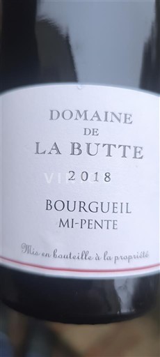 Valle del Loira Bourgueil Domaine La Butte Mi-Pente 2018