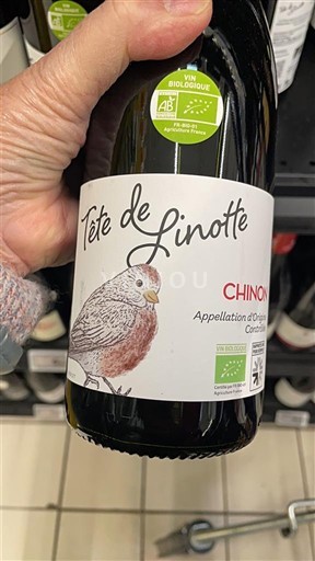 Dolina Loare Chinon Tête de Linotte Neleten.