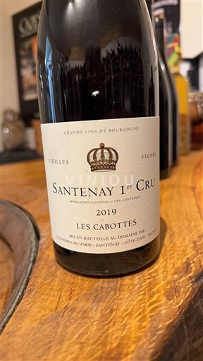 Burgundy Santenay Premier Cru Domaine Jules et Pierre Muzard Les Cabottes 2019