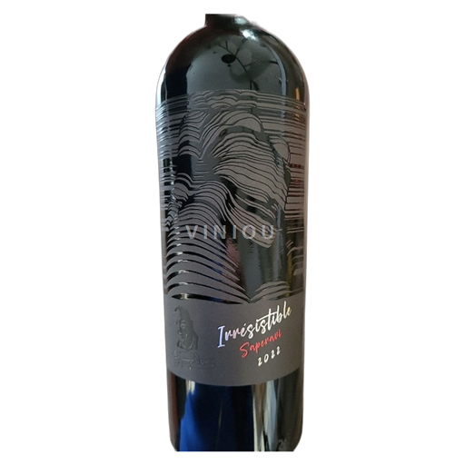 Stefan Voda Bernard Fayolle IRRESISTIBILE 2022