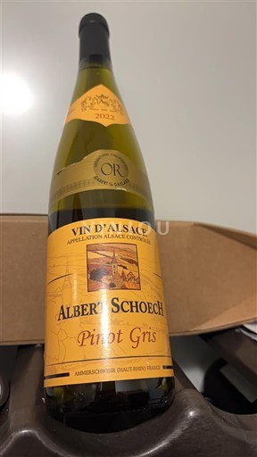 Alsacia Albert Schoech 2022