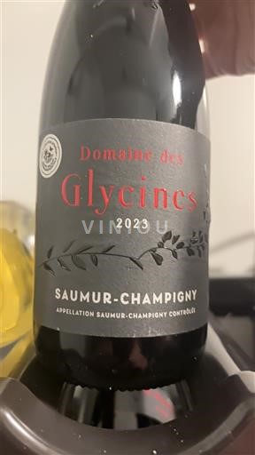 Loiren laakso Saumur-champigny Domaine S Glycines 2023