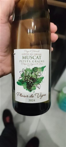 Languedoc og Roussillon Côtes du Brian Plaisir de Vigne Petits grains 2024