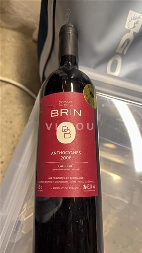 Sydväst Gaillac Domaine Brin Anthocyanes 2008