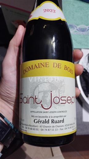 Valle del Ródano Saint-Joseph Domaine Bois 2022