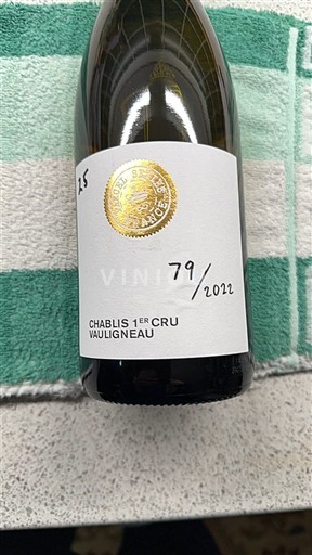 Bourgondië Niet gespecificeerd Premier Cru Domaine Bessin-Tremblay Vauligneau 2022