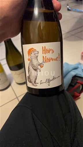 Vale do Loire Touraine Paul Gadenne Hors Norme! 2023