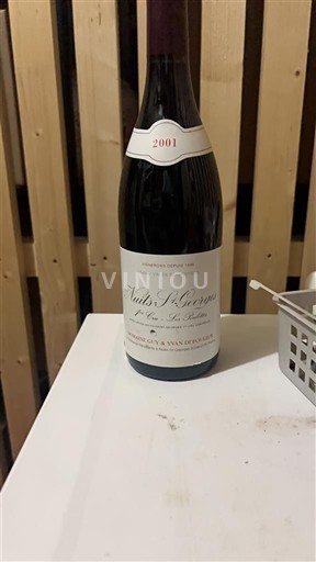 Burgundija Nuits-Saint-Georges Premier Cru Domaine Henri Gouges Les Pruliers 2001
