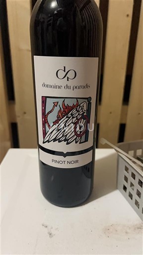 Dolina Loare Domaine Paradis Pinot Noir Neleten.