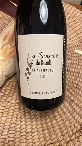 Valle del Loira Saumur-Champigny La Source du Ruault Le Champ Fou 2017