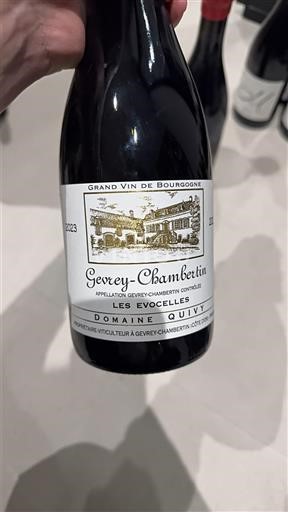 Borgoña Gevrey-Chambertin Domaine Quivy Les Evocelles 2022