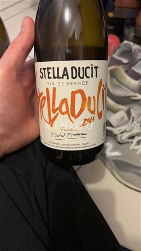 Rhônen laakso Määrittelemätön Famille Isabelle Ferrando Stella Ducit 2021