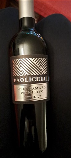 Wines Rouge sec Paolicelli 2020 Italy Puglia Not Specified DOC