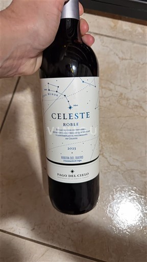 Castela e Leão Ribera del Duero Pago del Cielo Roble 2023