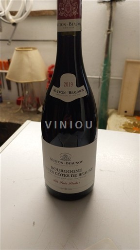 Burgundi Beaunen Ylämaat Nuiton-Beaunoy Les Pain perdu 2019
