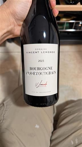 Burgundija Bourgogne-passetoutgrain Domaine Vincent Lemonde 2023