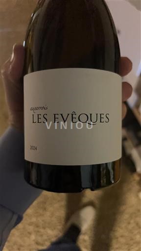 Jura Côtes-du-jura Les Evêques 2024