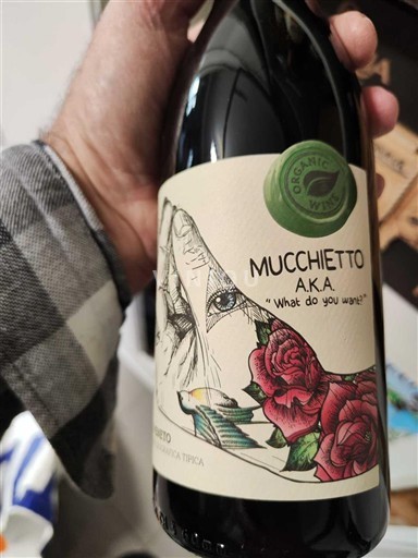 Pouilles Salento Mucchietto A.K.A. What do you want? 2020