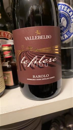 Piemonte Barolosta Vallebelbo le filere 2016
