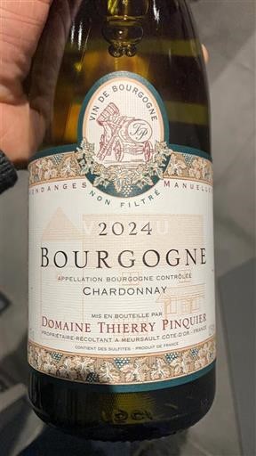 Burgundy Domaine Thierry Pinquier 2024