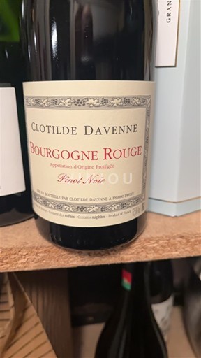 Bourgogne Bourgogne Rosé Clotilde Davenne 2020