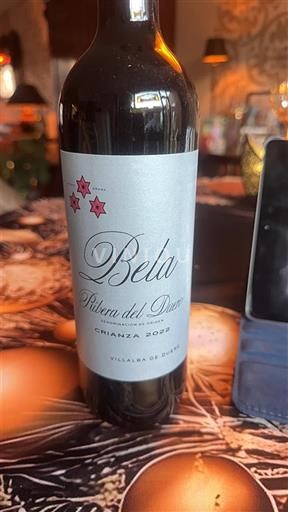 Castilien og León Ribera del Duero Bela Crianza 2022