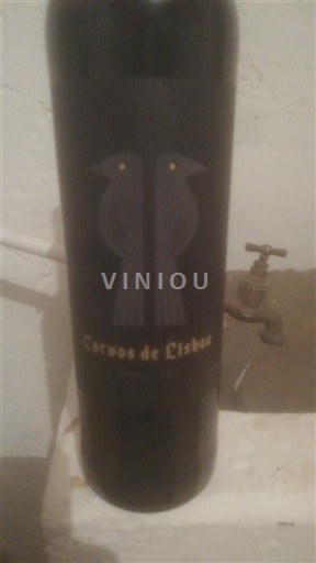 Portugal Lisboa Corvos de Lisboa 2021