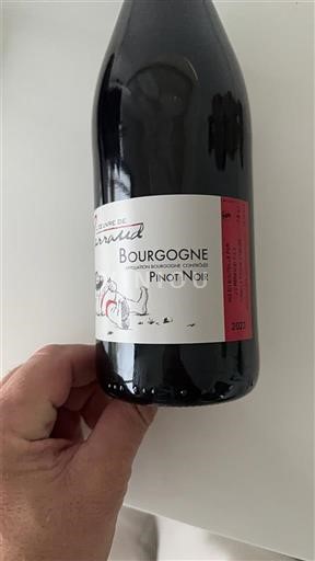 Bourgondië Bourgogne Domaine Brissaud 2023