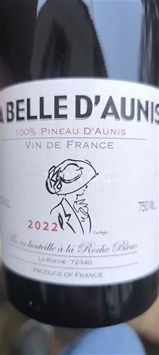 Dolina Loare La Roche Bleue La Belle d'Aunis 2022