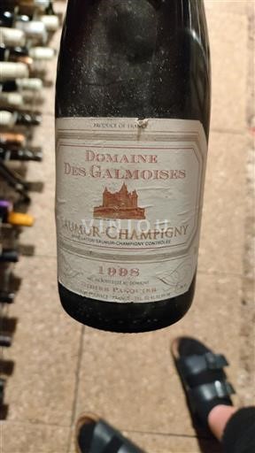 Loiren laakso Saumur-champigny Domaine S Galmoises 1998