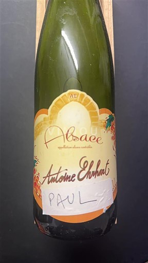 Elsass Antoine Ehrhart PAUL 2013