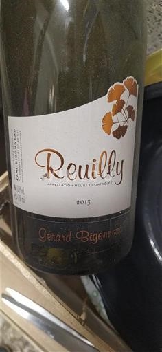 Vale do Loire Reuilly Gérard Bigonneau 2015