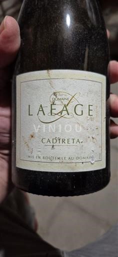 Linguadoca e Rossiglione Côtes catalanes Domaine Lafage Cadireta 2016