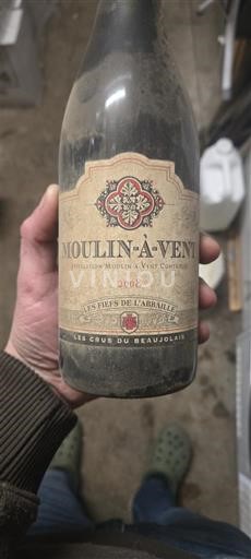 Beaujolais Moulin-à-vent Les Vieux Fiefs de l'Amballe 2008