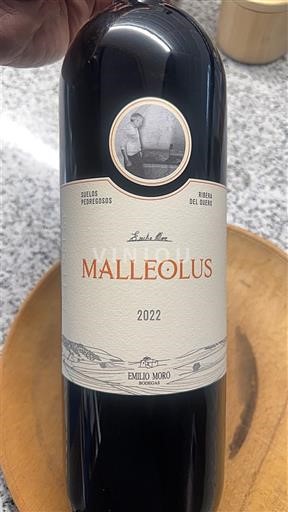 Castilië en León Ribera del Duero Emilio Moro Malleolus 2022