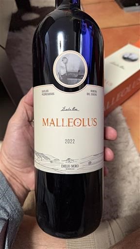 Castille và León Ribera del Duero Emilio Moro Malleolus 2022