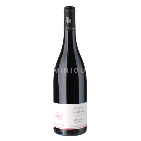 Valle del Loira Bourgueil Domaine Jacky Blot ( de la Butte) mi-pente 2021