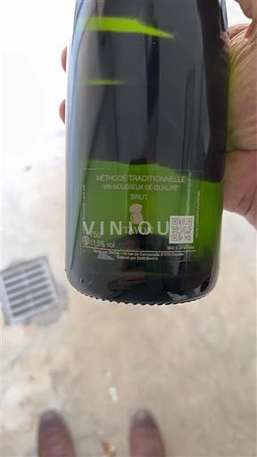 Sparkling Wines Blanc brut Tavon Non millésimé France Burgundy Crémant de Bourgogne AOC