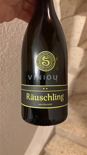 Zürich Stadt Zürich Staatskellerei Zürich Räuschling vom Rheinfall 2022