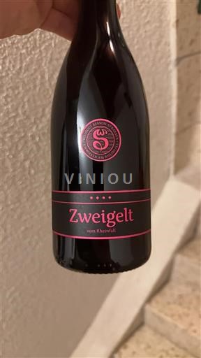 Zürich Stadt Zürich Schloss Rheinfall Zweigelt vom Rheinfall 2020