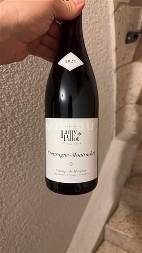 Bourgondië Chassagne-Montrachet Lamy-Pillot Champs de Morgeot 2023