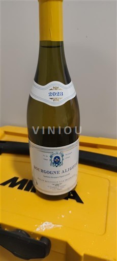 Bourgondië Bourgogne Aligoté Domaine La Tour 2023
