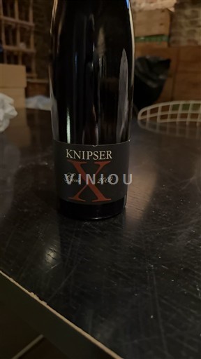 Pfalz Knipser X 2009